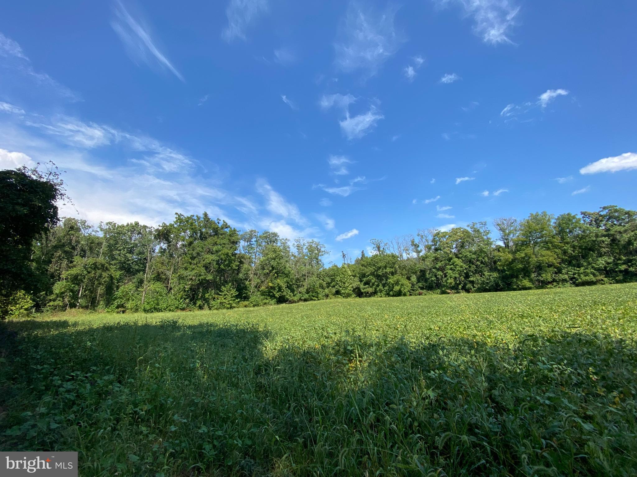 3937 Rohrersville Road, Unit LOT 2 Rohrersville, MD 21779 - Photo 9 of 16 Gallery Image 9