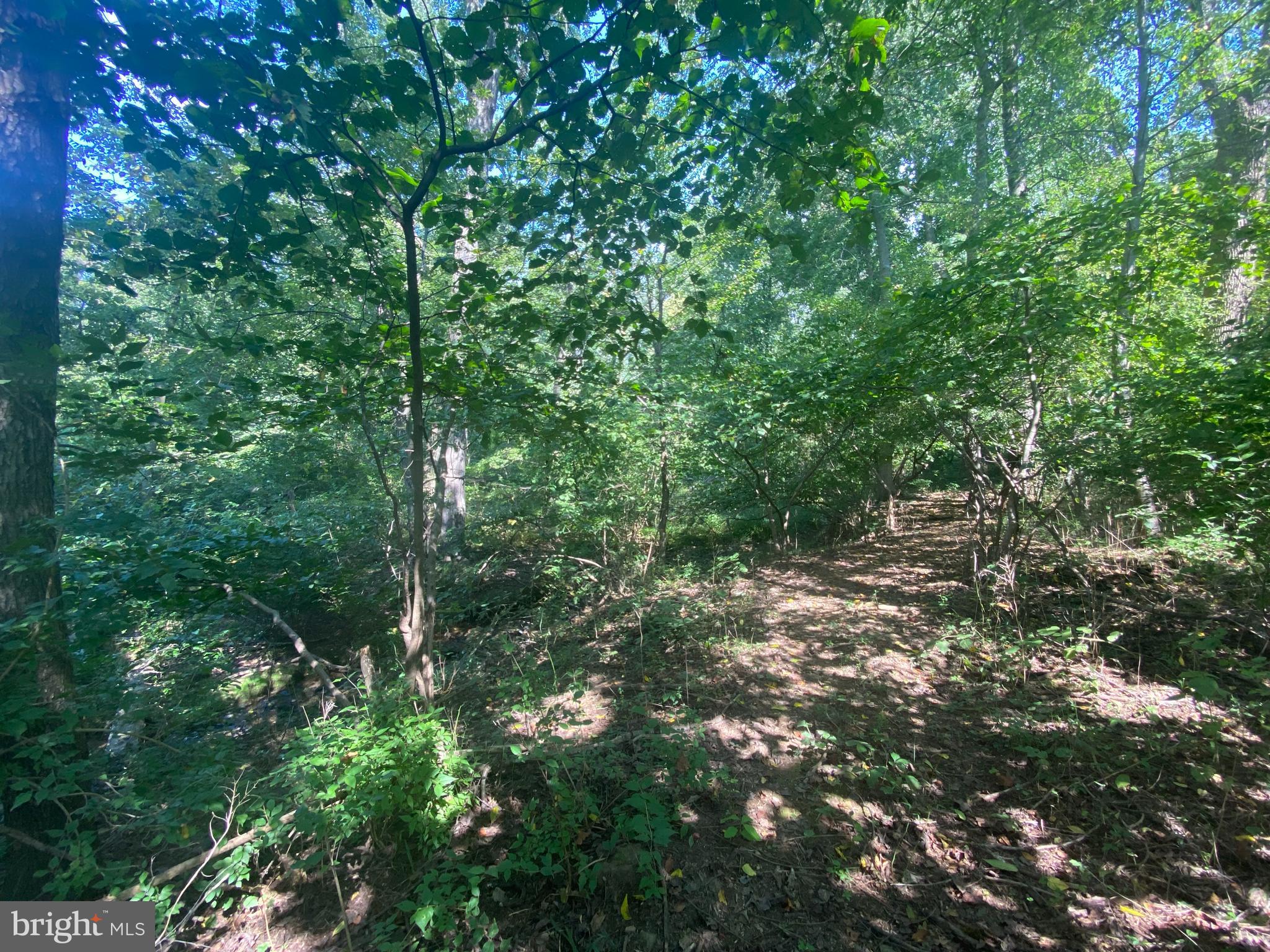 3937 Rohrersville Road, Unit LOT 2 Rohrersville, MD 21779 - Photo 10 of 16 Gallery Image 10