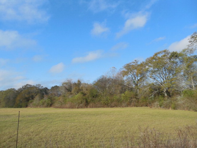 3-acres Kelly Road Slocomb, AL 36375 - Photo 1 of 1