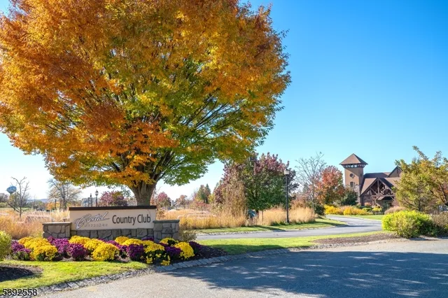 a view of a city with mountains in the background