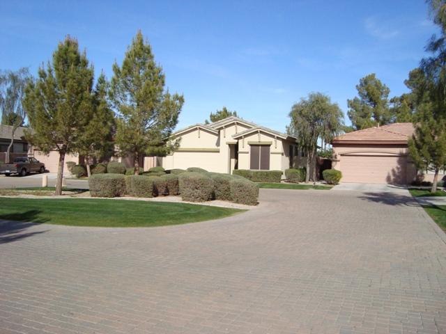 1857 West Periwinkle Way Chandler, AZ 85248 - Photo 16 of 25 Common area in front of house