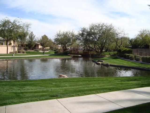 1857 West Periwinkle Way Chandler, AZ 85248 - Photo 17 of 25 Common area pond