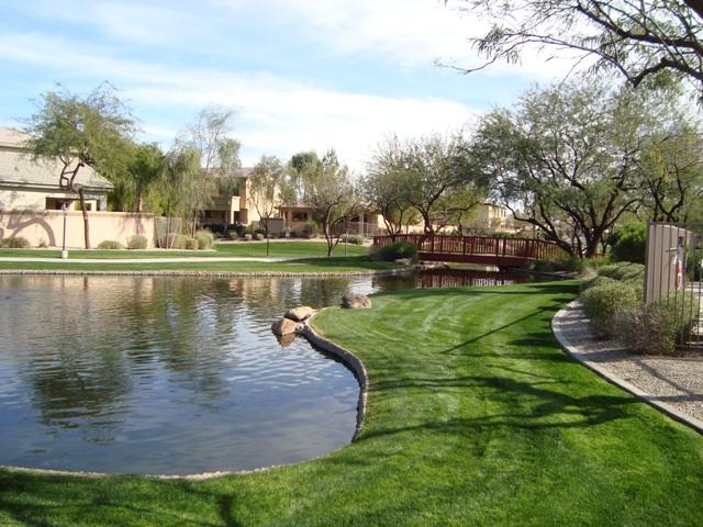 1857 West Periwinkle Way Chandler, AZ 85248 - Photo 20 of 25 Common area pond near rec. center