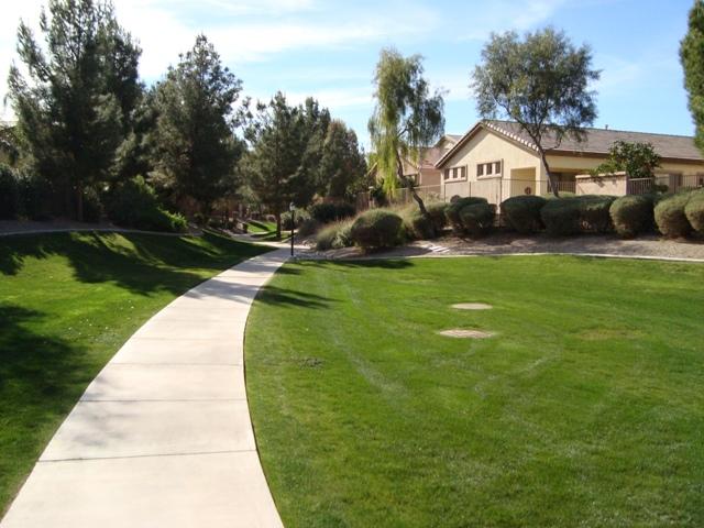 1857 West Periwinkle Way Chandler, AZ 85248 - Photo 25 of 25 Walkways throughout Montefino