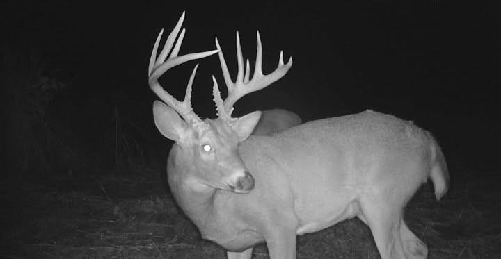 4870 South 3580th Road Pawnee, OK 74058 - Photo 24 of 75