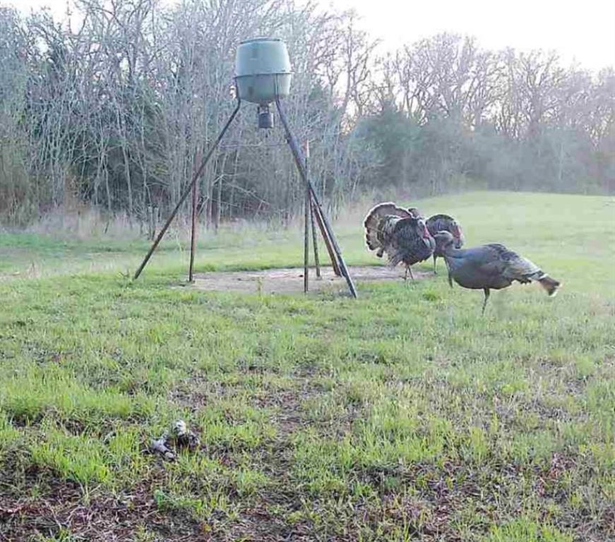 4870 South 3580th Road Pawnee, OK 74058 - Photo 26 of 75