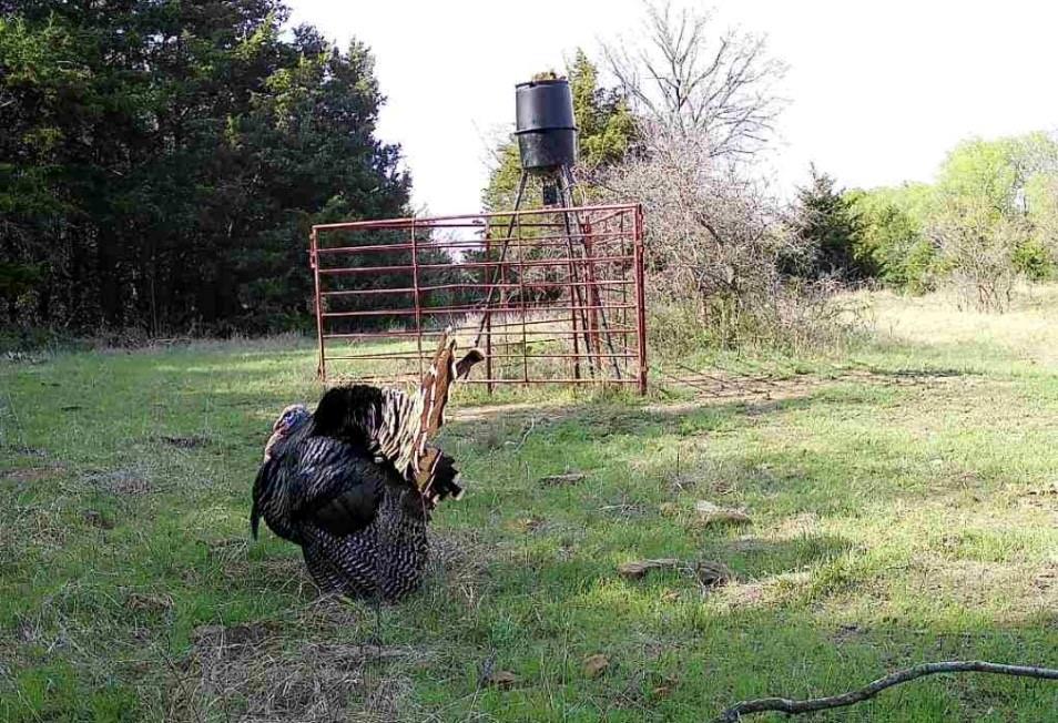 4870 South 3580th Road Pawnee, OK 74058 - Photo 28 of 75