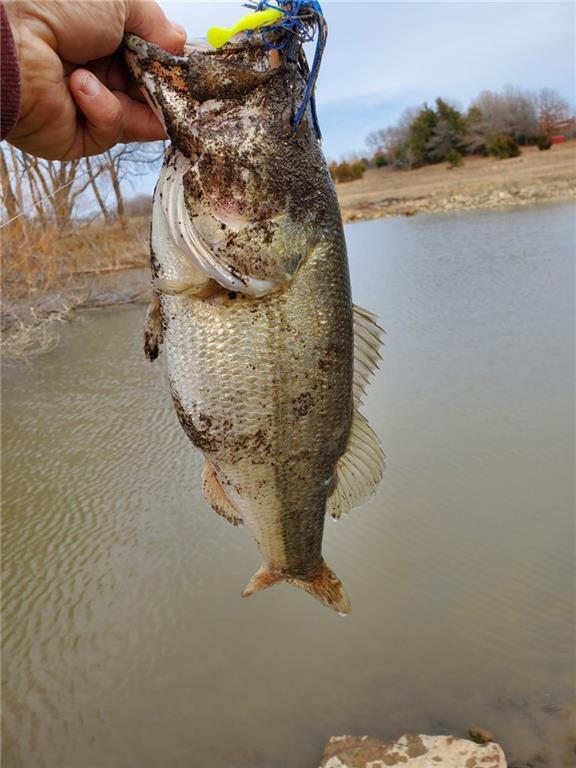 4870 South 3580th Road Pawnee, OK 74058 - Photo 29 of 75