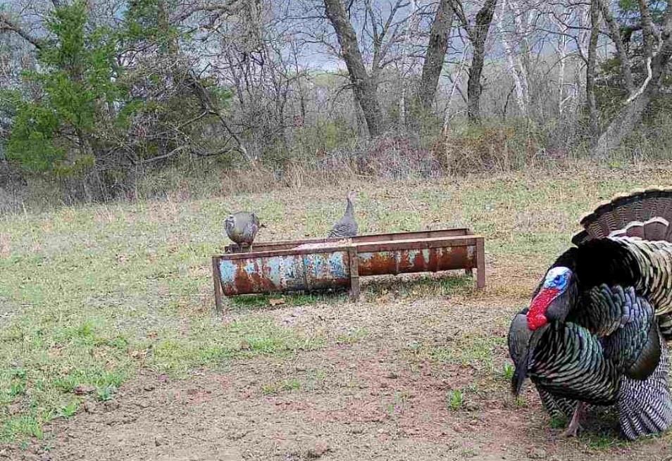 4870 South 3580th Road Pawnee, OK 74058 - Photo 31 of 75