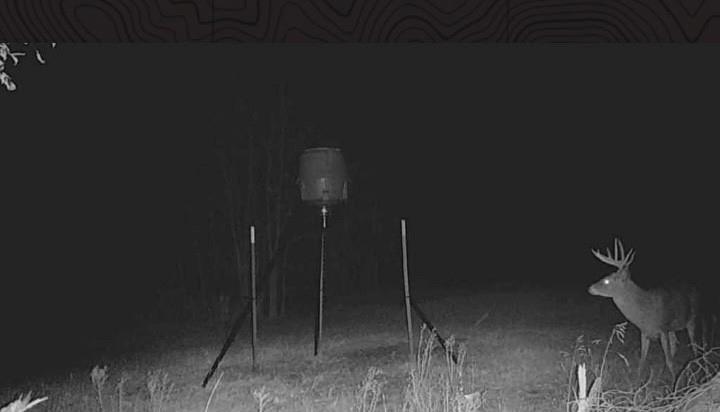 4870 South 3580th Road Pawnee, OK 74058 - Photo 33 of 75