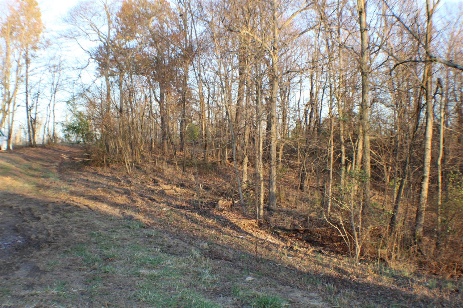 0 Bill Peelman Road Vevay, IN 47043 - Photo 4 of 7