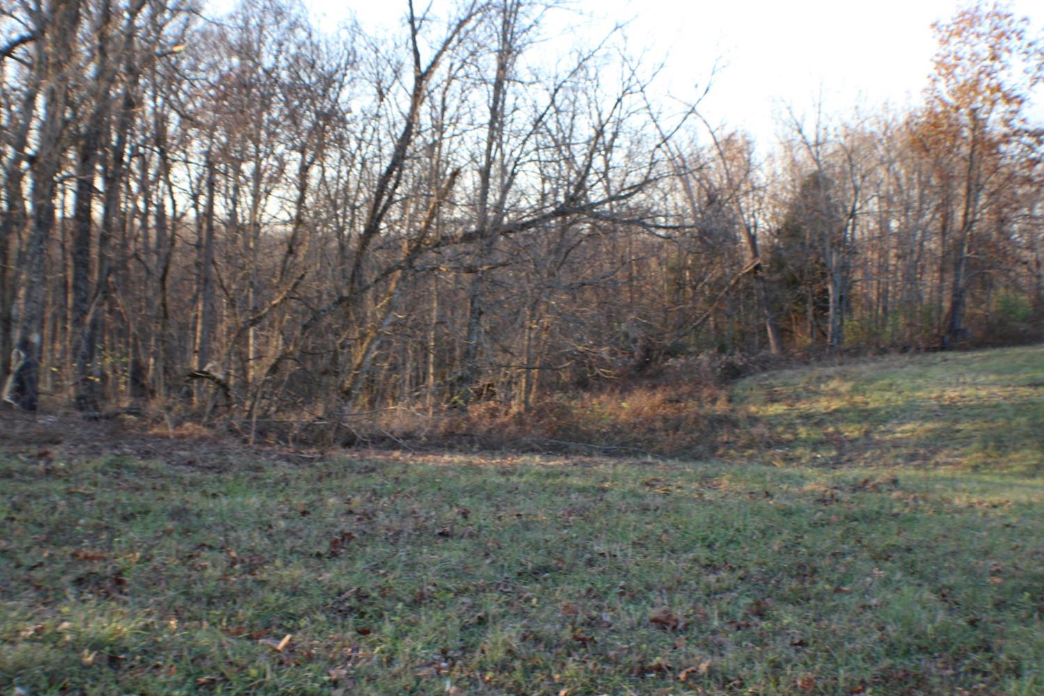 0 Bill Peelman Road Vevay, IN 47043 - Photo 5 of 7
