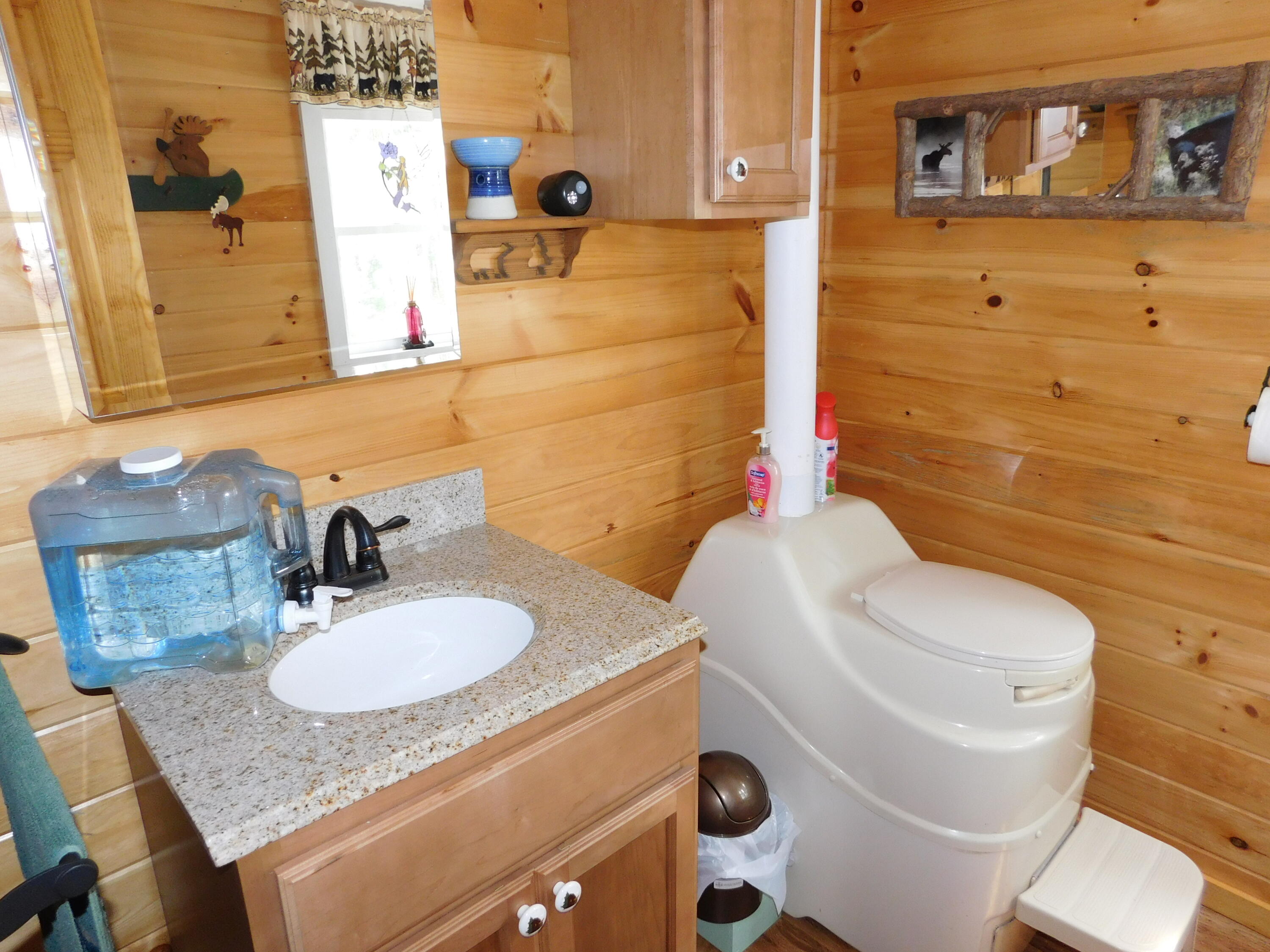 Lot 10 Lot Road Aurora, ME 04408 - Photo 48 of 53 DSCN8753