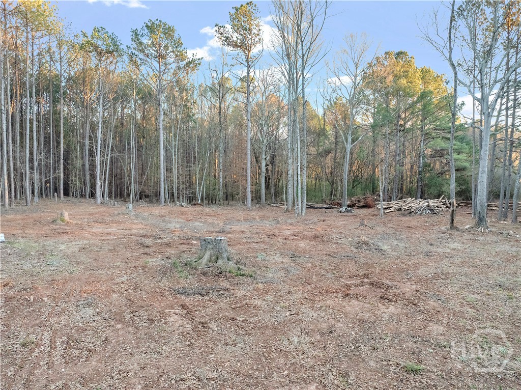 4 Seven Islands Road Buckhead, GA 30625 - Photo 6 of 9