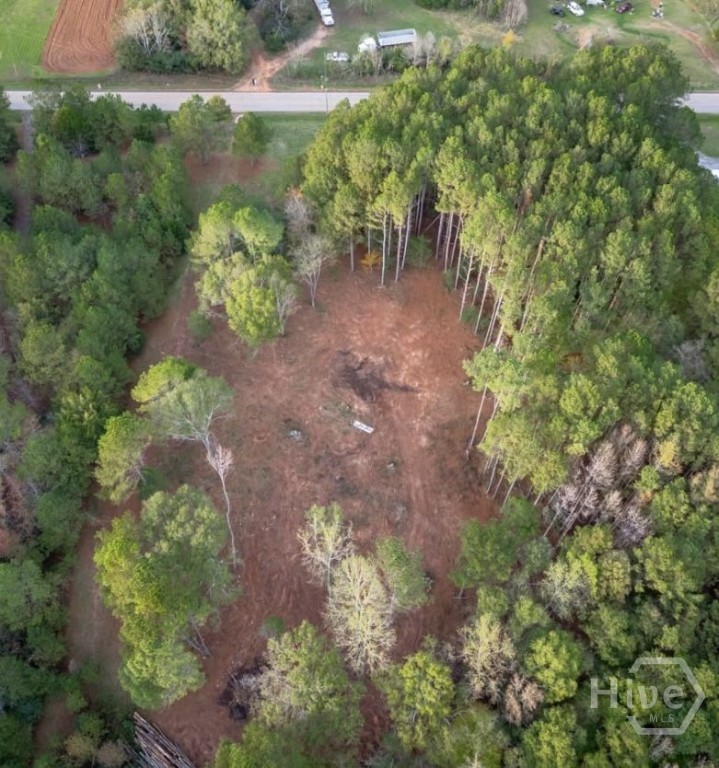 4 Seven Islands Road Buckhead, GA 30625 - Photo 8 of 9