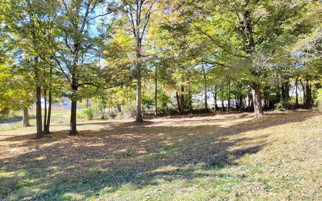 a view of road with trees