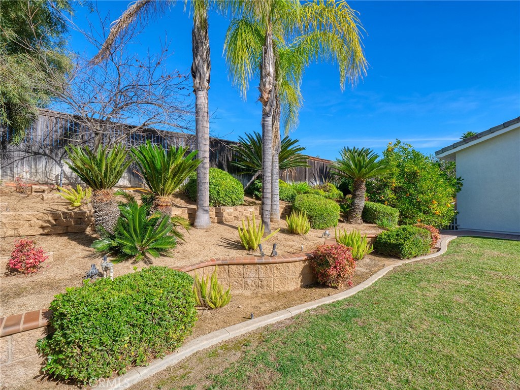 19156 Zamora Way Riverside, CA 92508 - Photo 11 of 30 Backyard 3