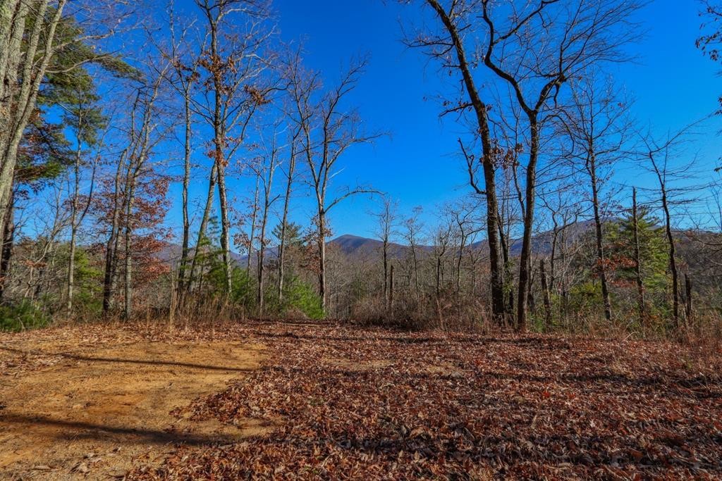 1301 Ridge Hollow Road Del Rio, TN 37727 - Photo 1 of 26 Gallery Image 1