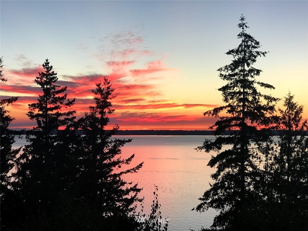 711 Briar Road Bellingham, WA 98225 - Photo 39 of 40 a sunset view with a tree
