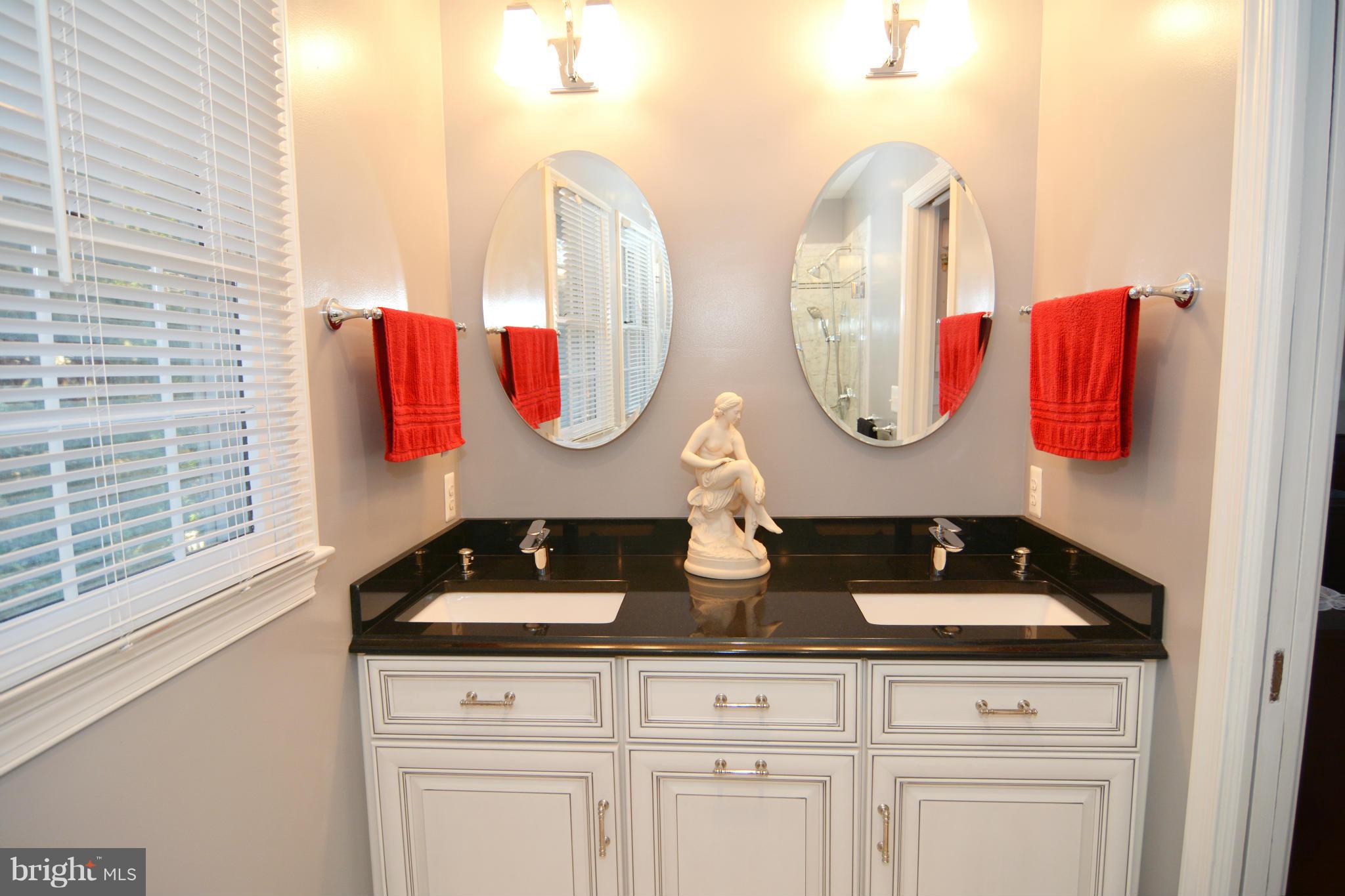 230 Kirkley Road Annapolis, MD 21401 - Photo 15 of 30 Dual Sinks and Granite Counters