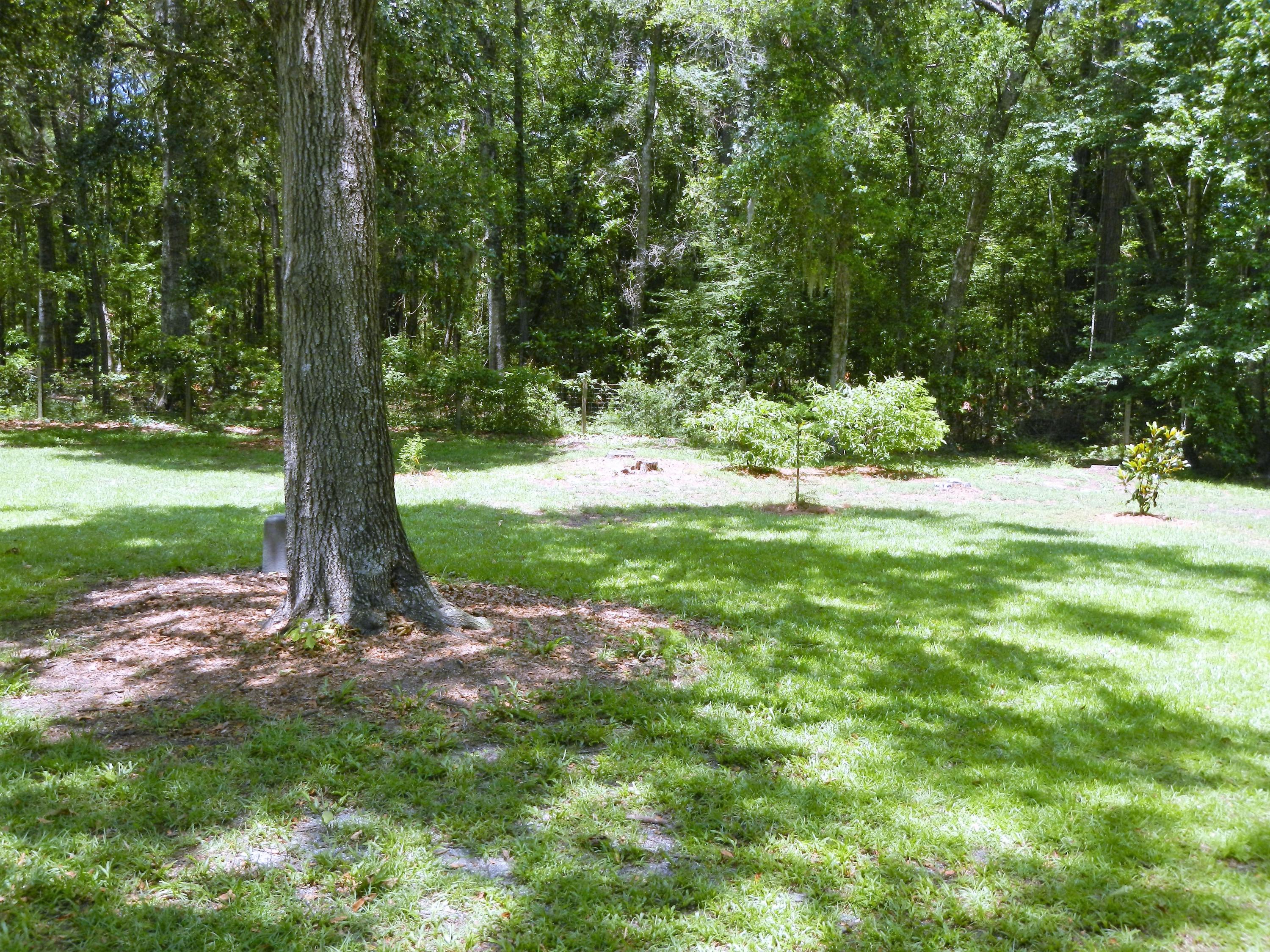 2475 Edenforest Road Johns Island, SC 29455 - Photo 33 of 45 DSCN7085