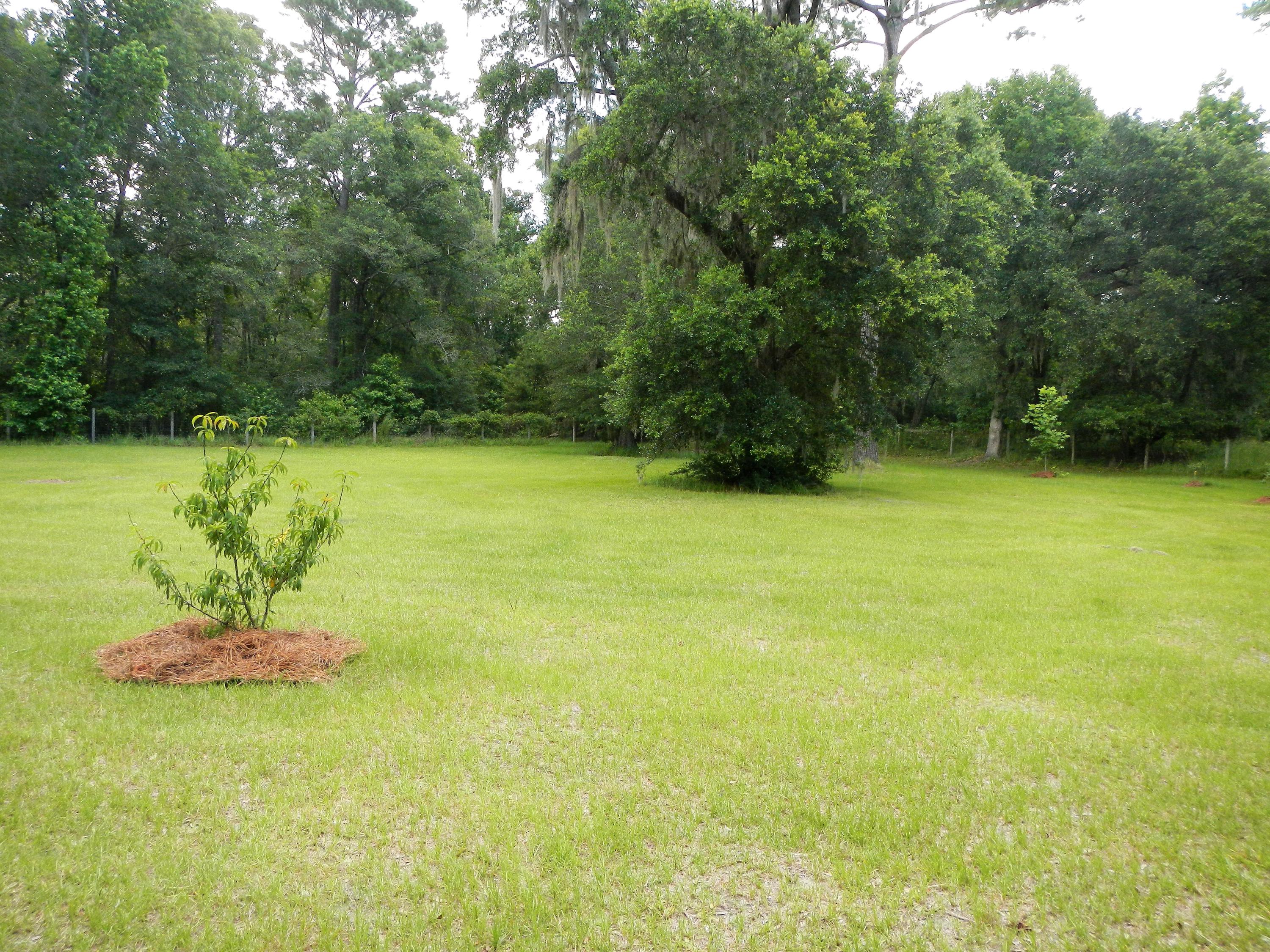 2475 Edenforest Road Johns Island, SC 29455 - Photo 40 of 45 DSCN7094