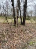 45 Lake Russell Road Newfoundland, PA 18445 - Photo 8 of 8