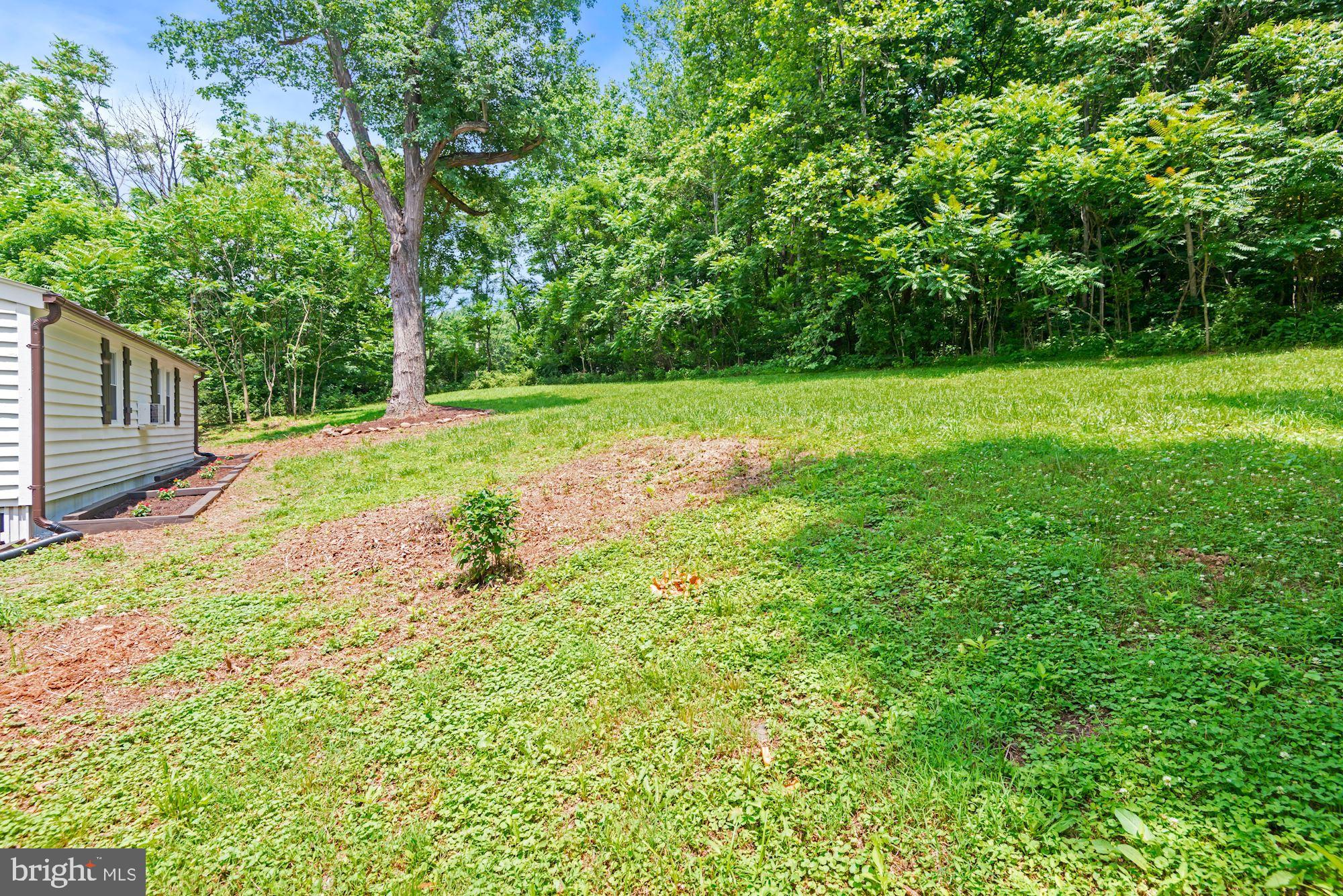 64 Mt Marshall Road Washington, VA 22747 - Photo 20 of 20 New ly created backyard