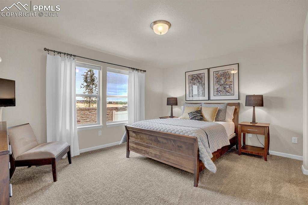 11315 Rill Point Colorado Springs, CO 80921 - Photo 23 of 46