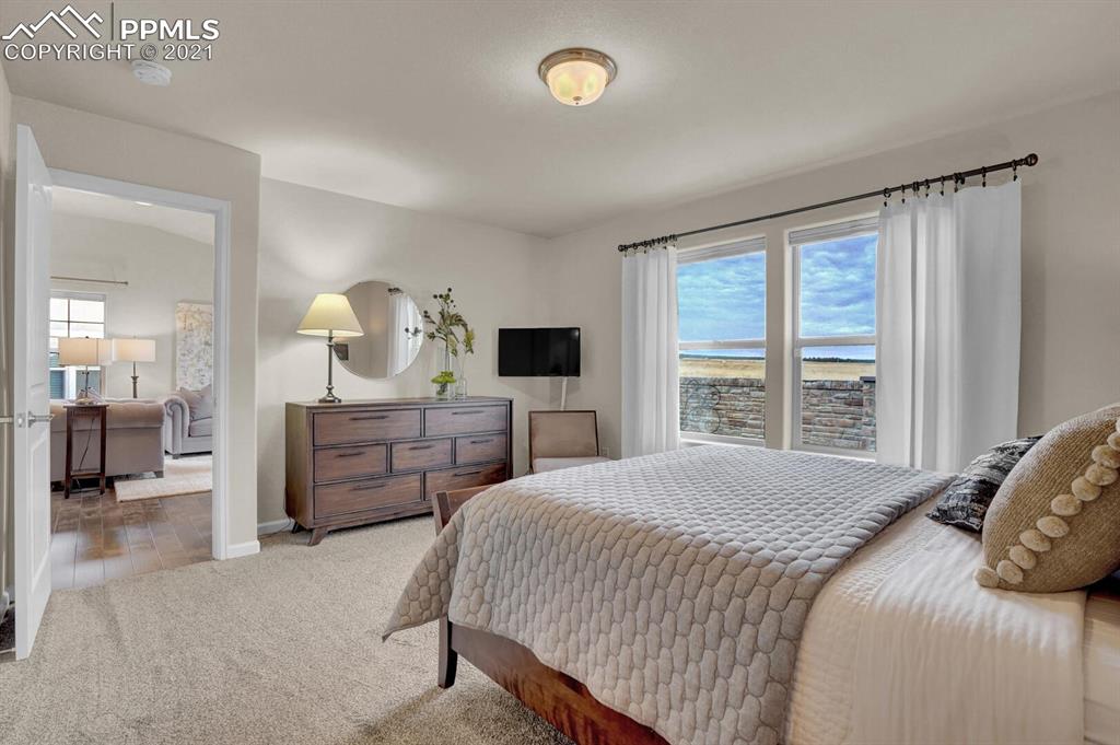 11315 Rill Point Colorado Springs, CO 80921 - Photo 24 of 46