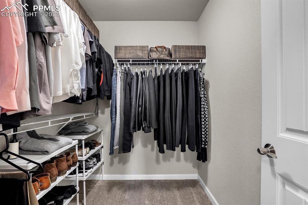 11315 Rill Point Colorado Springs, CO 80921 - Photo 29 of 46