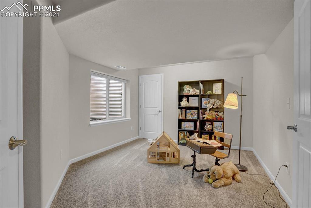 11315 Rill Point Colorado Springs, CO 80921 - Photo 30 of 46