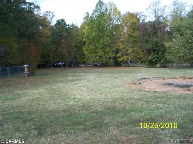 Yard/Garden - Rear Yard