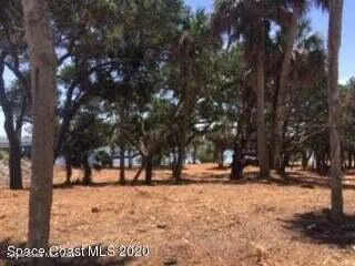 a view of lake with trees