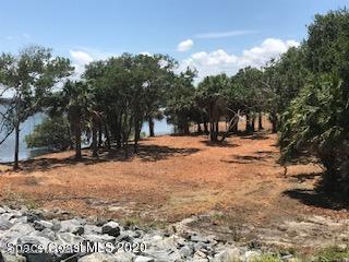 4100 Main Street Sebastian, FL 32976 - Photo 14 of 16 a view of road with trees