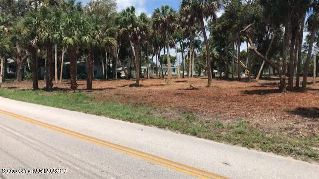 a view of backyard with tree