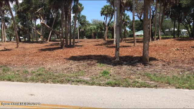 4100 Main Street Sebastian, FL 32976 - Photo 5 of 16 a backyard of a house with lots of green space