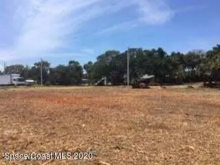a view of a yard