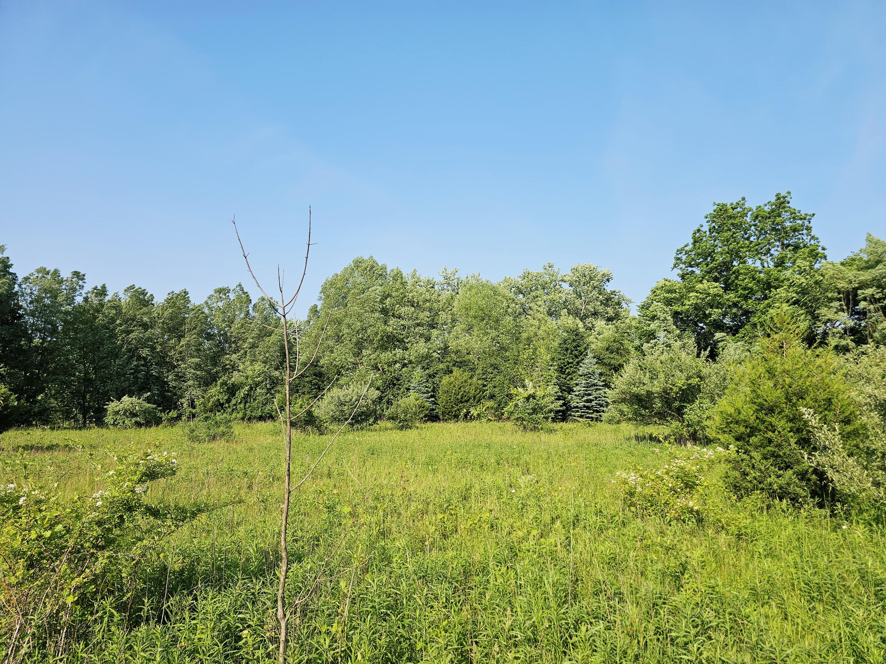 9159 D Moreland Road Jerome, MI 49249 - Photo 11 of 31 1000023989