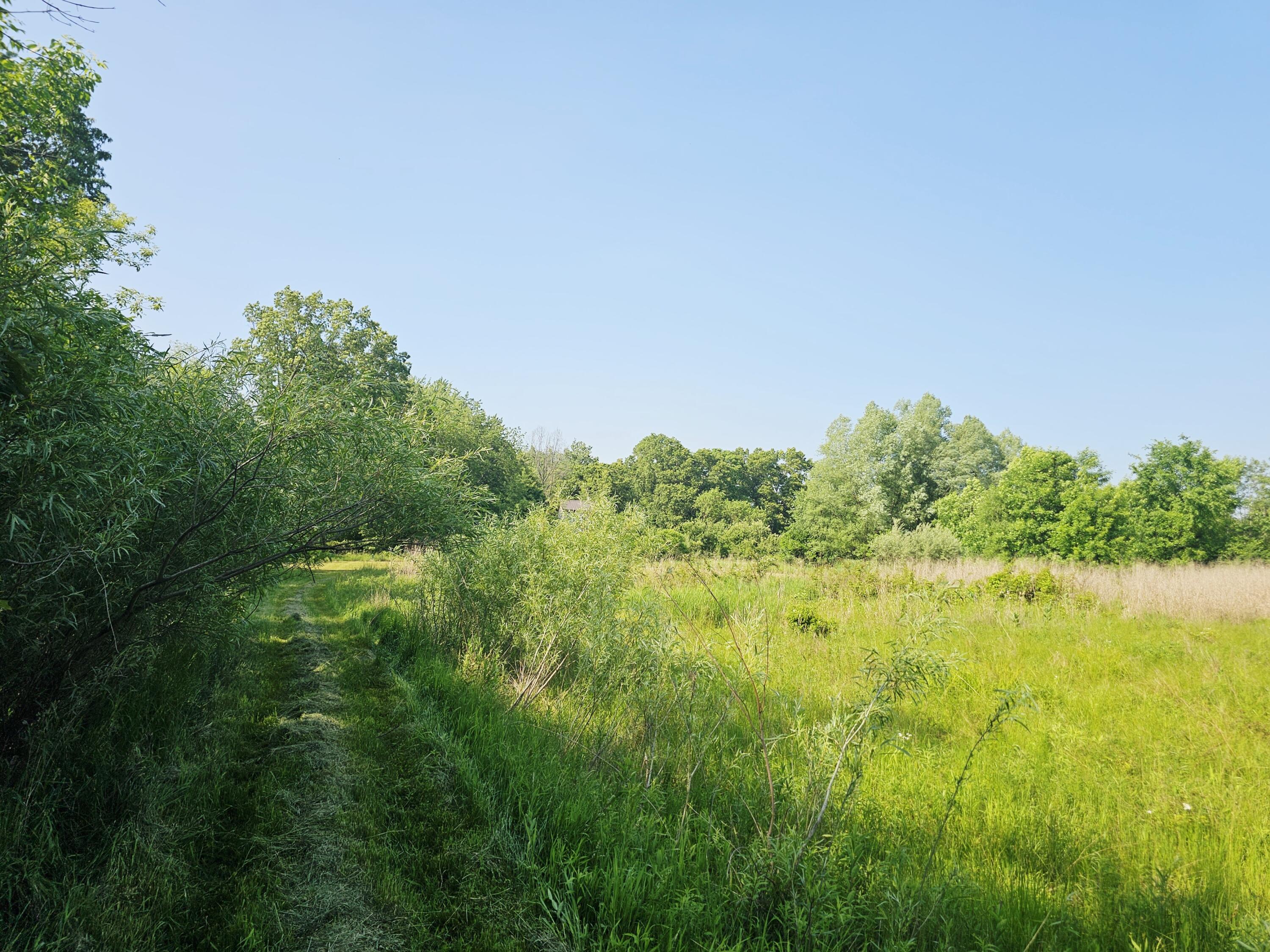 9159 D Moreland Road Jerome, MI 49249 - Photo 16 of 31 1000023908