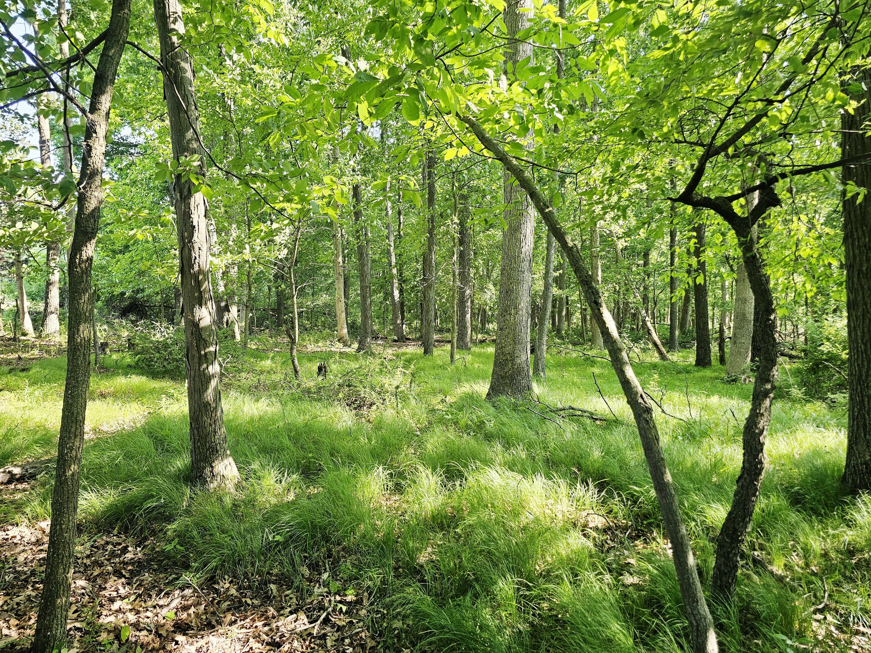 9159 D Moreland Road Jerome, MI 49249 - Photo 17 of 31 1000023919