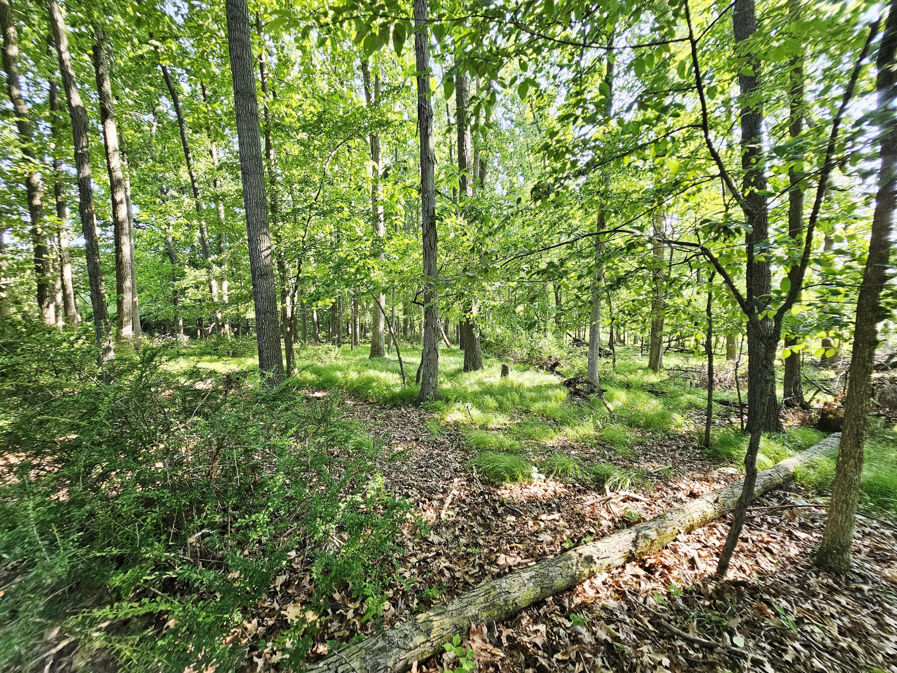 9159 D Moreland Road Jerome, MI 49249 - Photo 18 of 31 1000023918