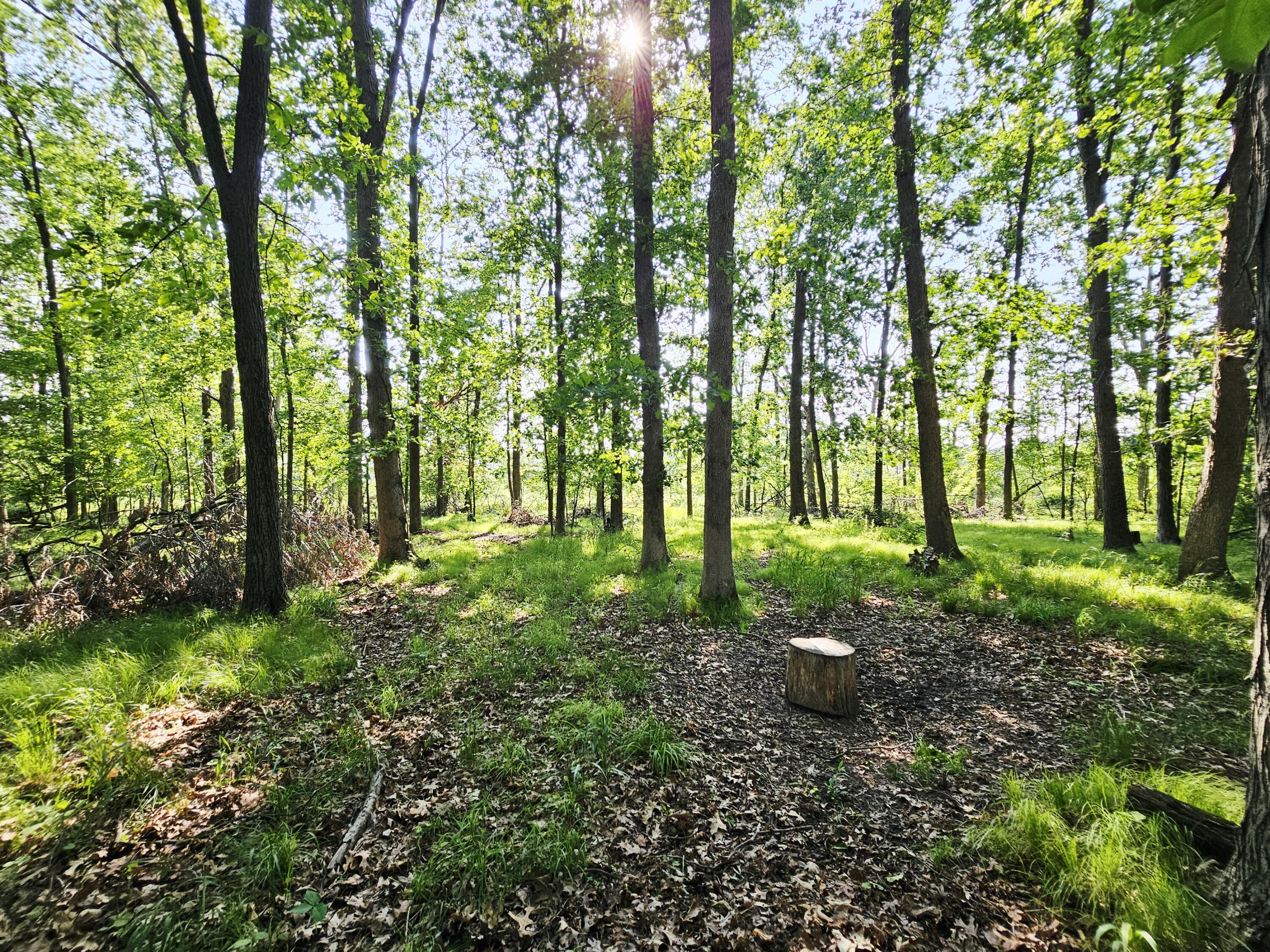 9159 D Moreland Road Jerome, MI 49249 - Photo 20 of 31 1000023931