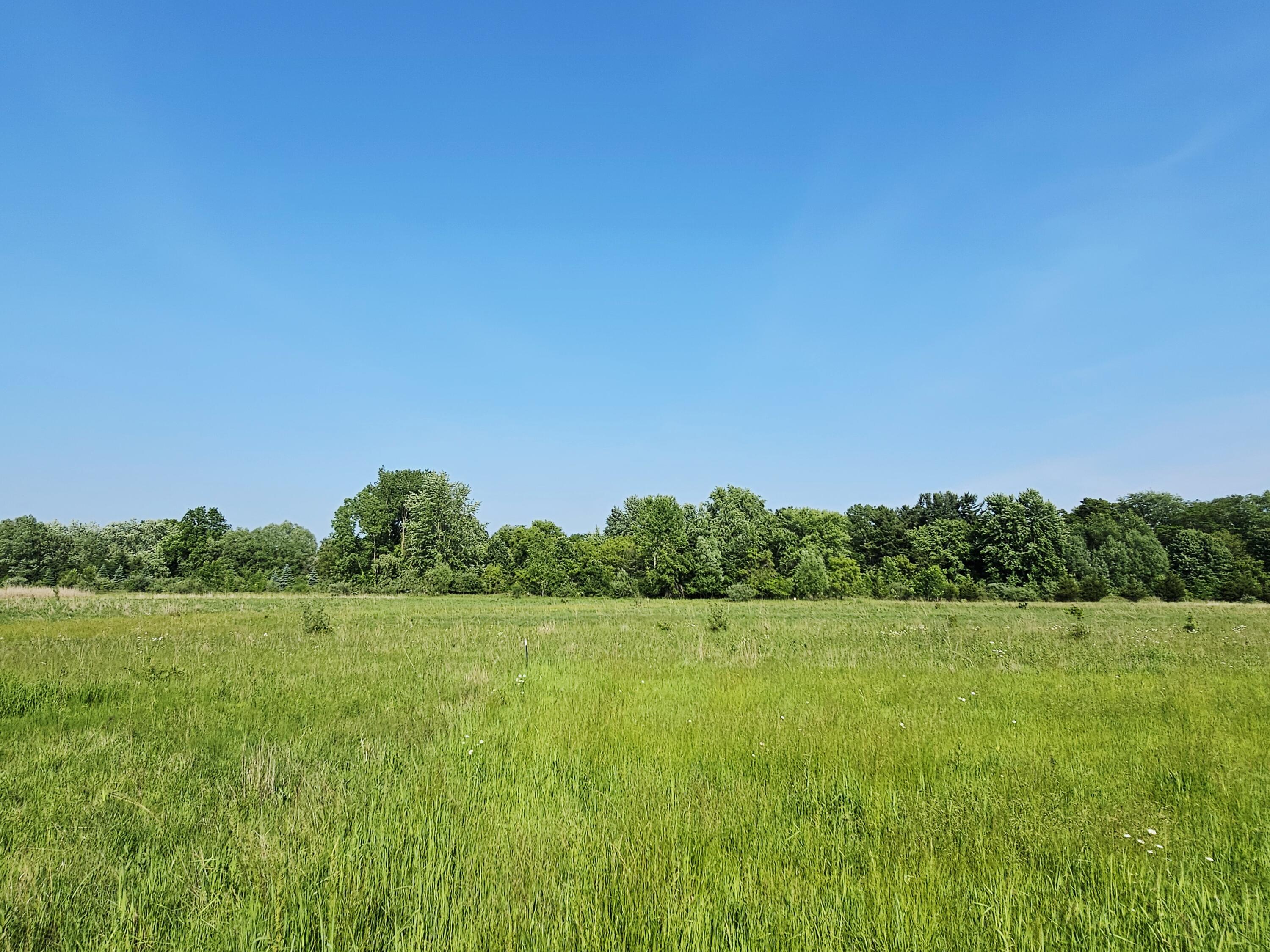 9159 D Moreland Road Jerome, MI 49249 - Photo 22 of 31 1000023944