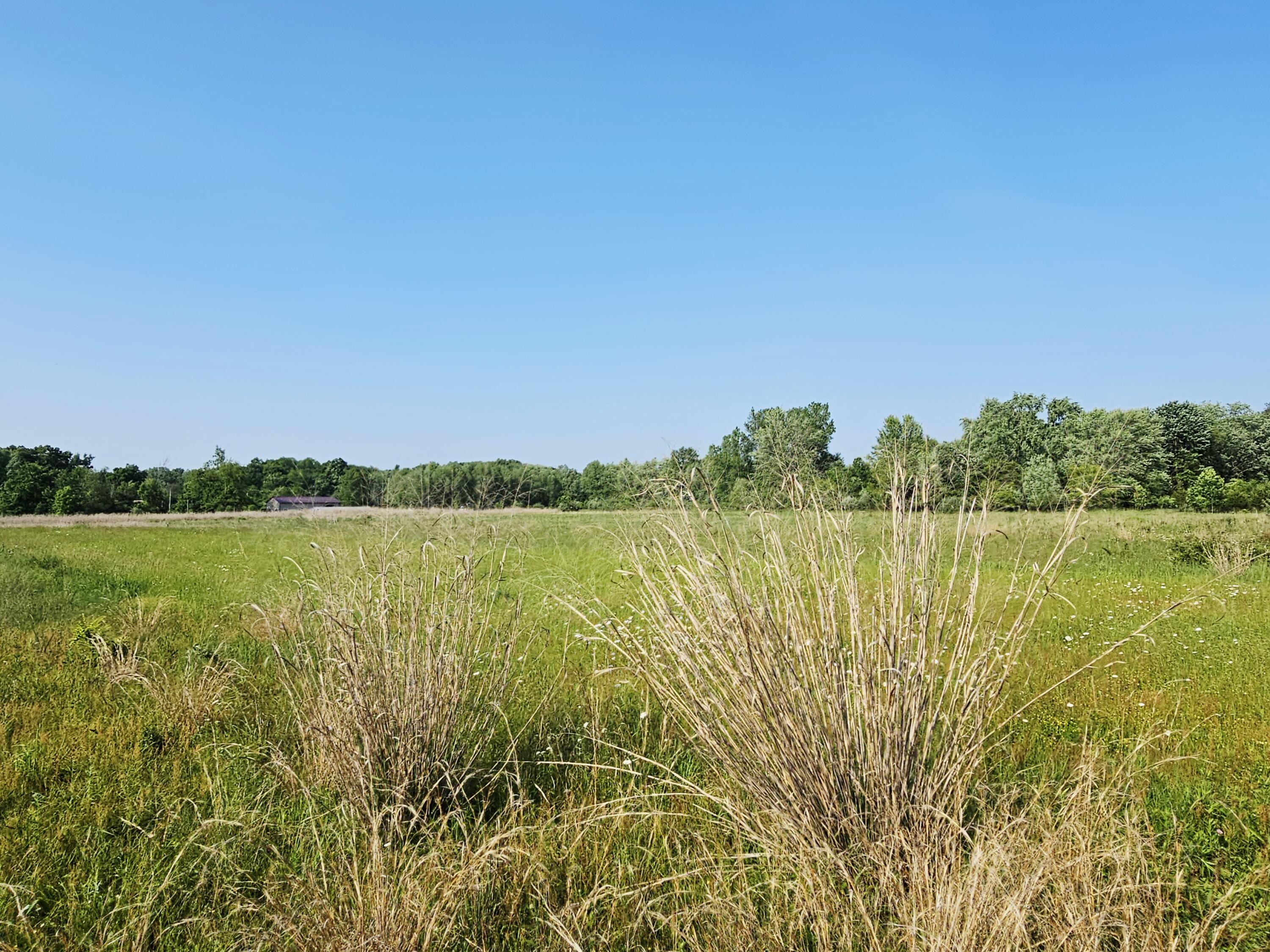 9159 D Moreland Road Jerome, MI 49249 - Photo 23 of 31 1000023947