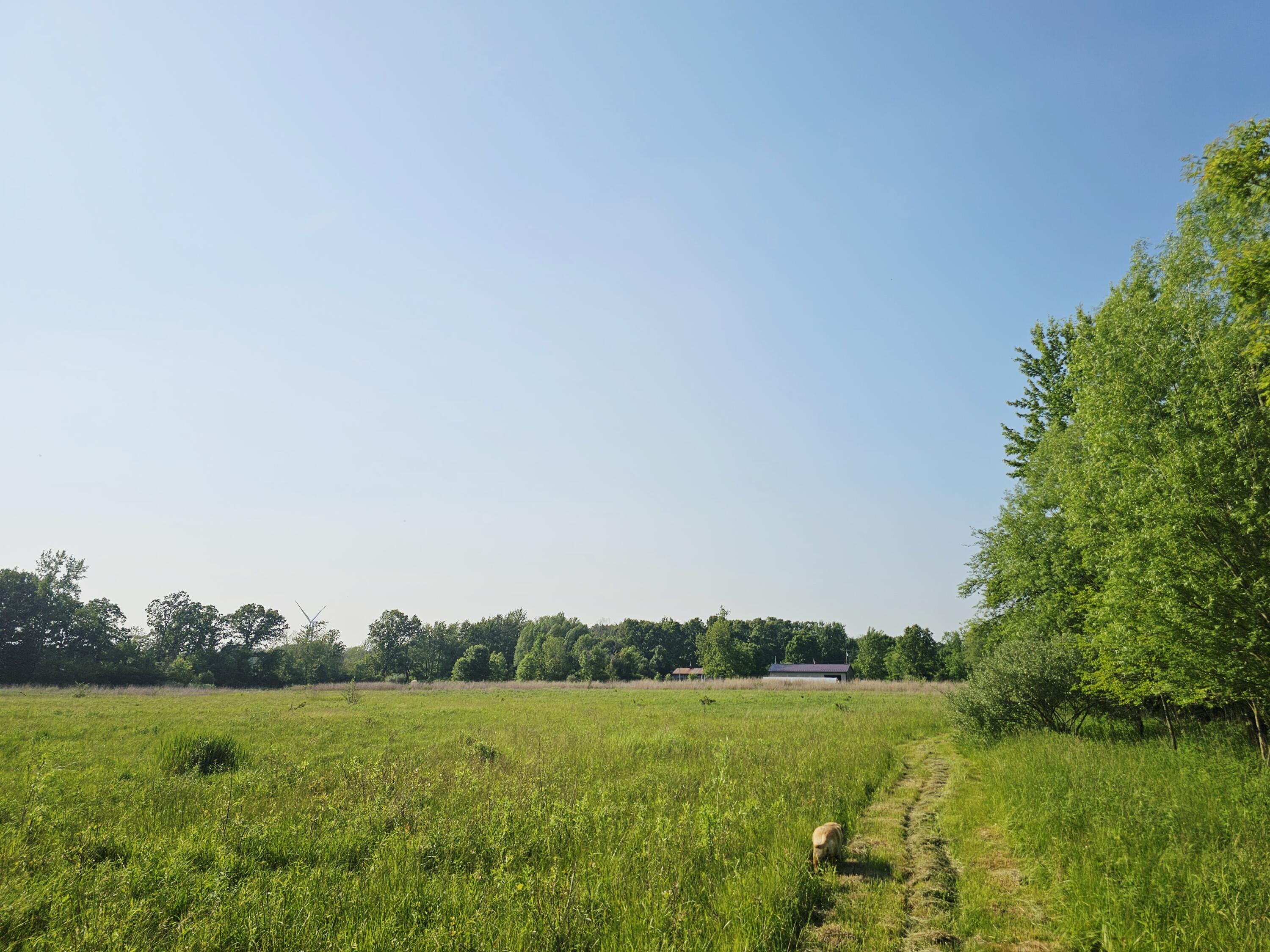 9159 D Moreland Road Jerome, MI 49249 - Photo 24 of 31 1000023984