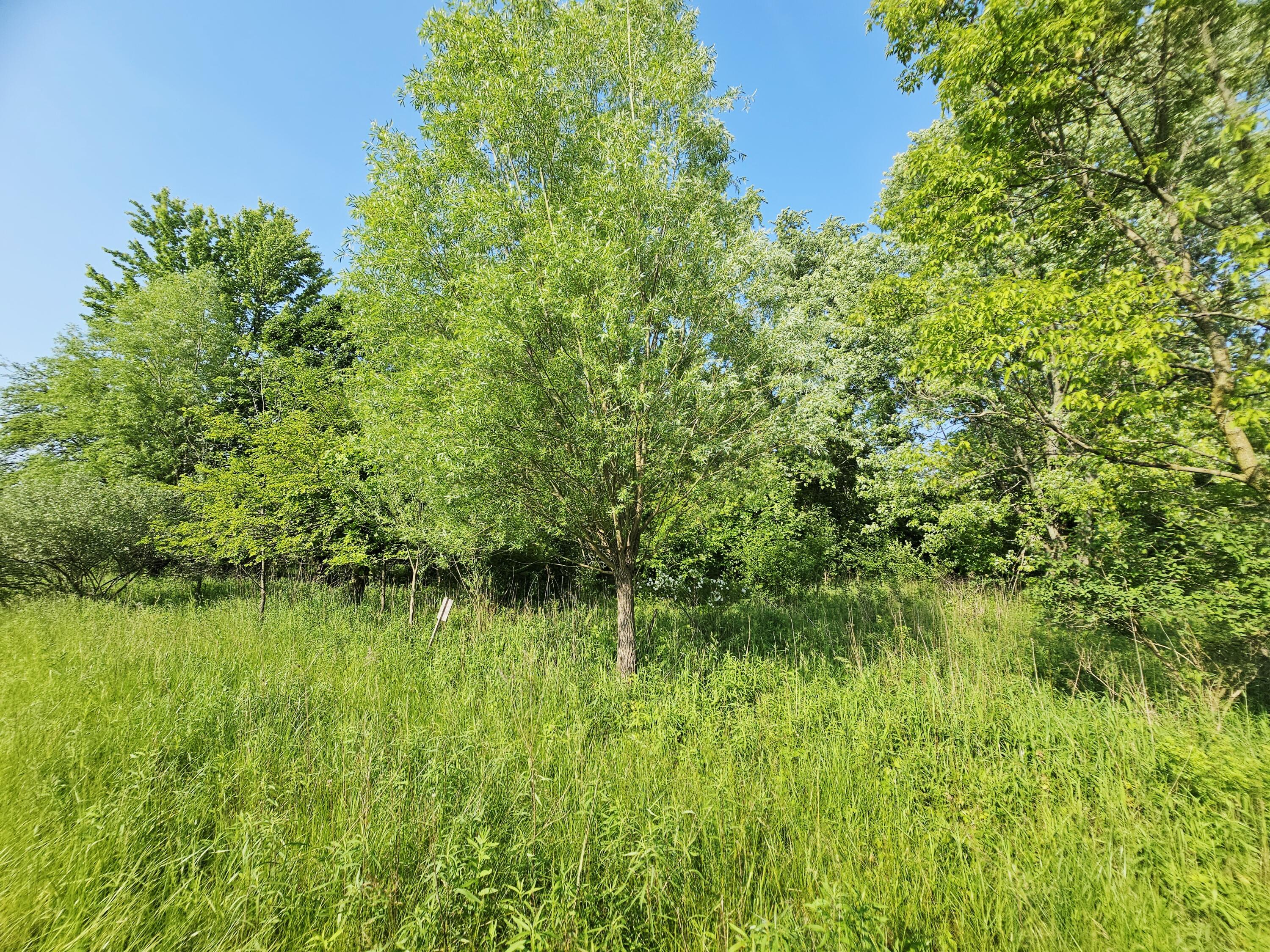 9159 D Moreland Road Jerome, MI 49249 - Photo 25 of 31 1000023985