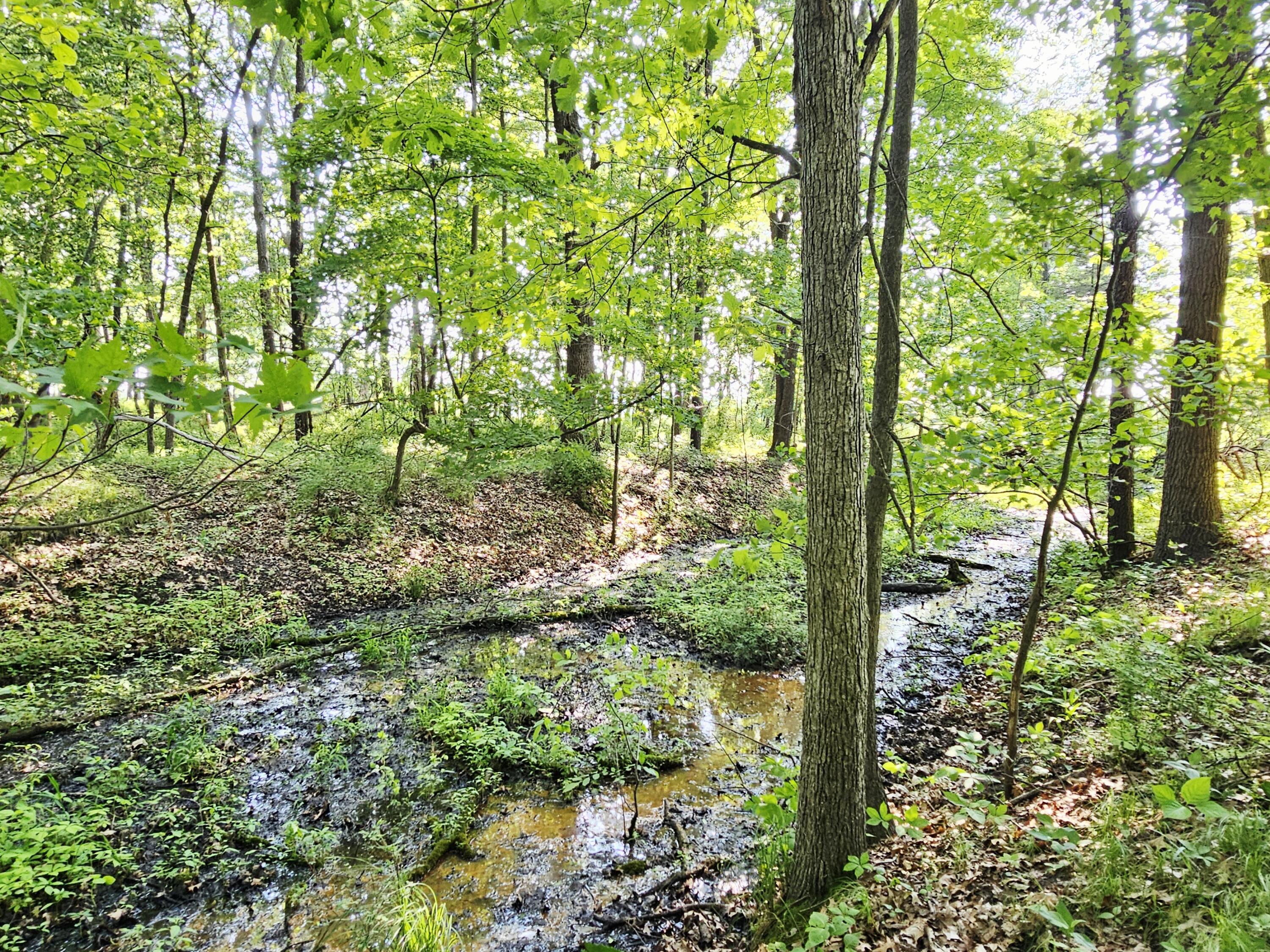 9159 D Moreland Road Jerome, MI 49249 - Photo 26 of 31 1000023966