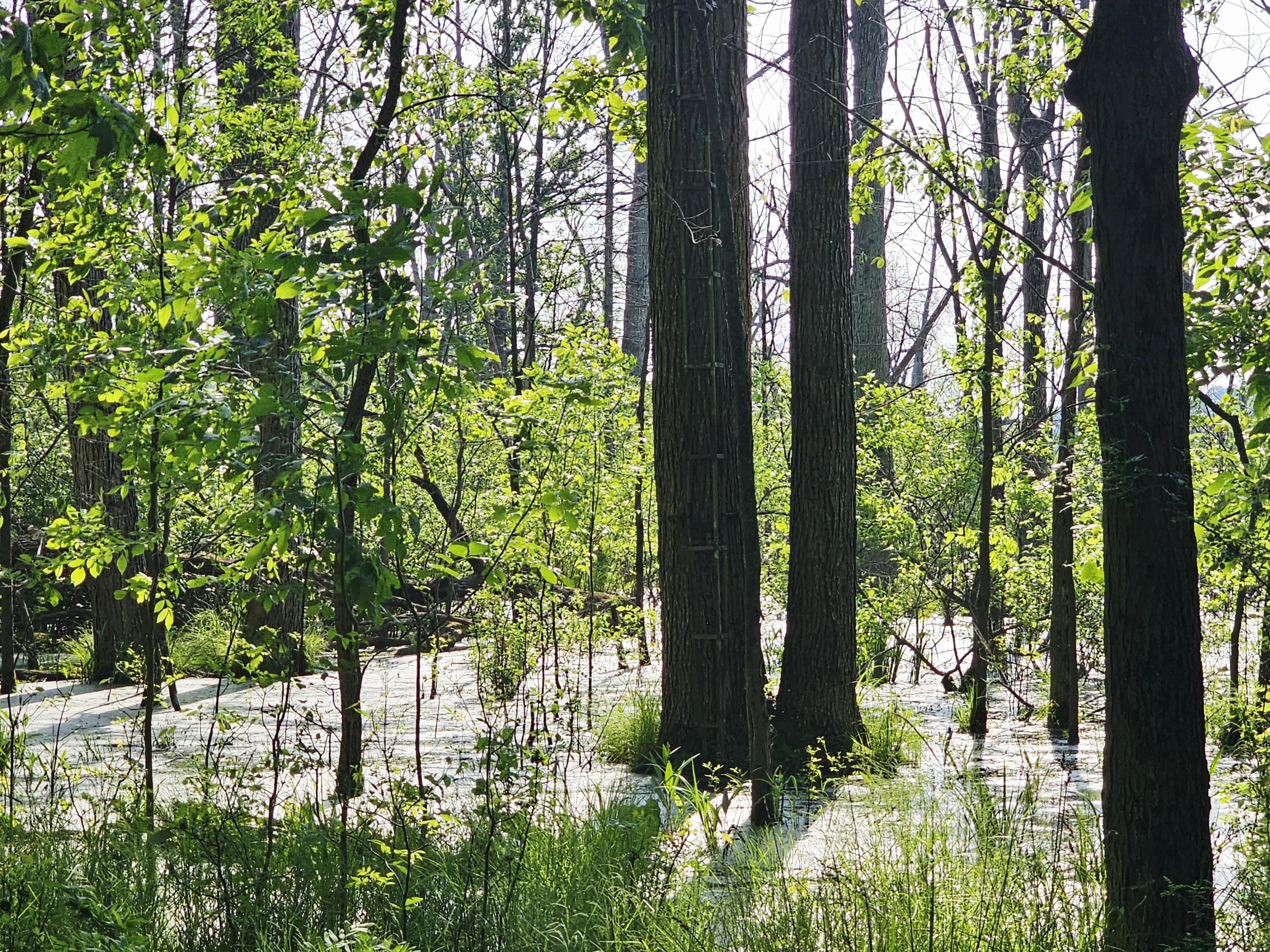 9159 D Moreland Road Jerome, MI 49249 - Photo 8 of 31 1000023961