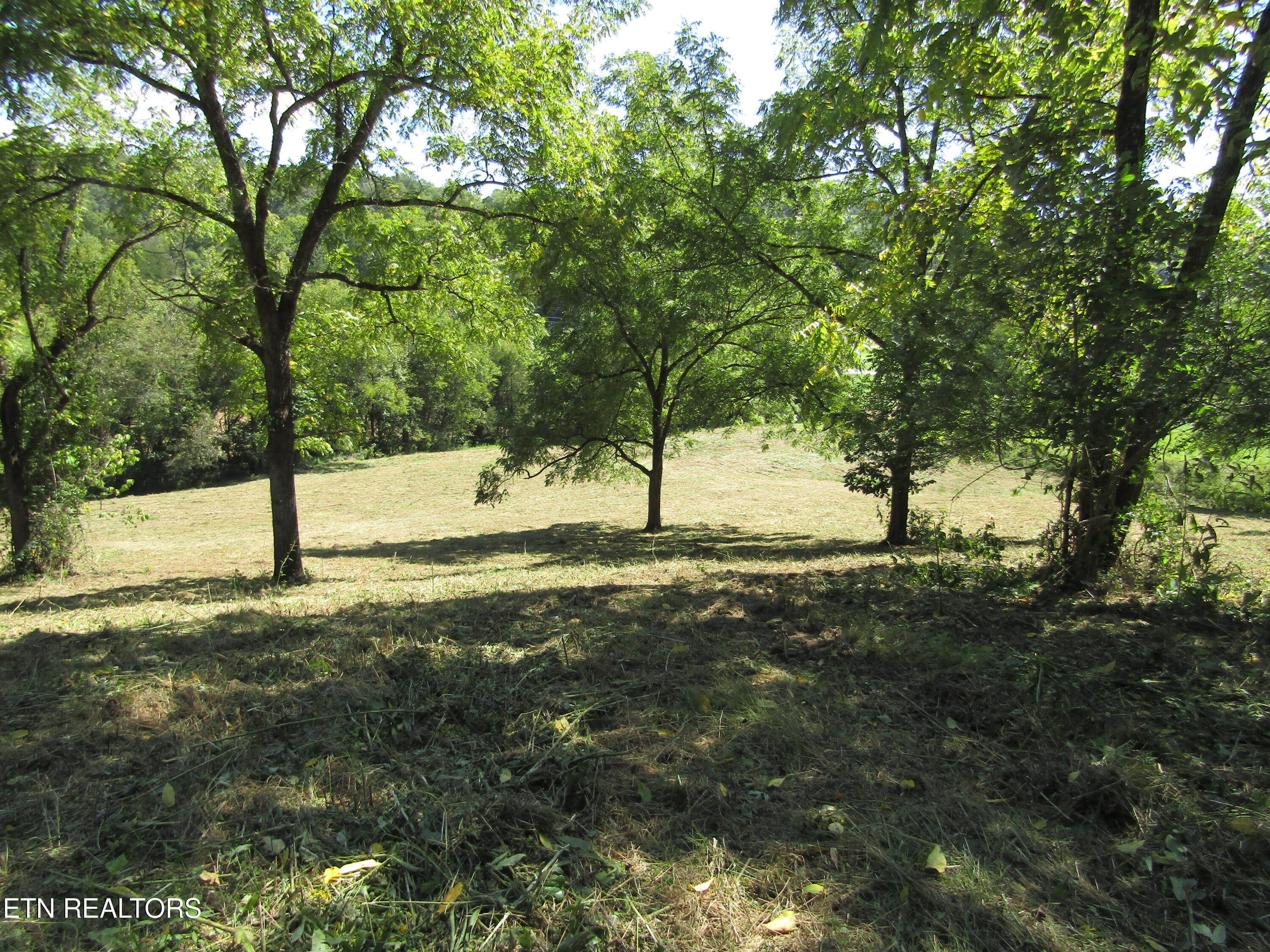 14-ac Hartsville Road Lafayette, TN 37083 - Photo 12 of 37 IMG_9491